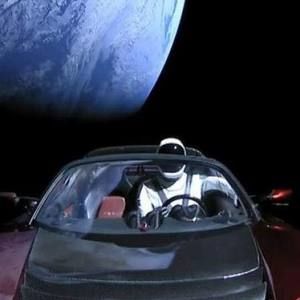 Meet your Posher, Beau